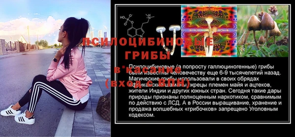 каннабис Дмитриев
