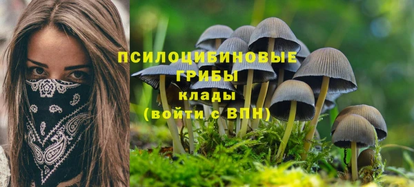 меф Гусиноозёрск