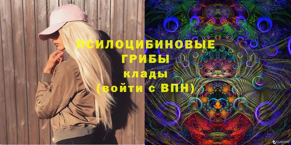 a pvp Дмитровск