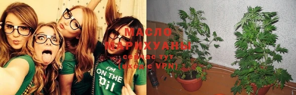 мет Гусев