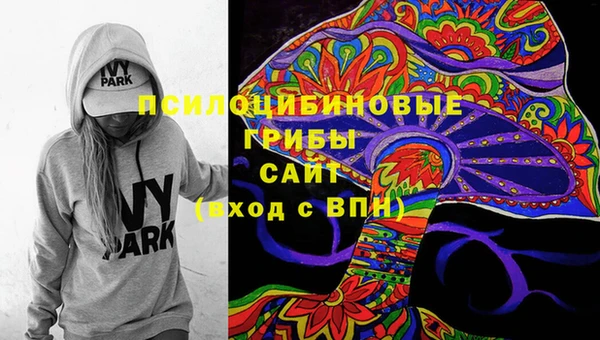 мет Гусев