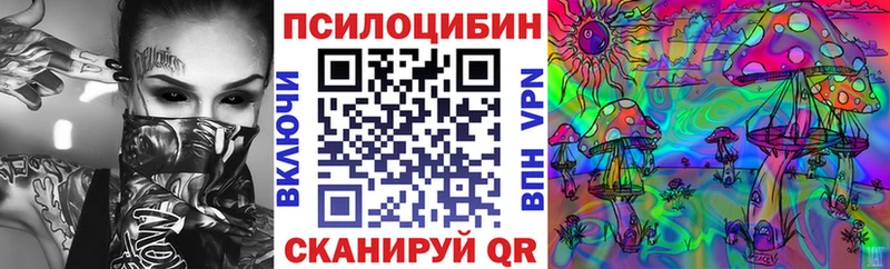 Псилоцибиновые грибы Psilocybe Ростов