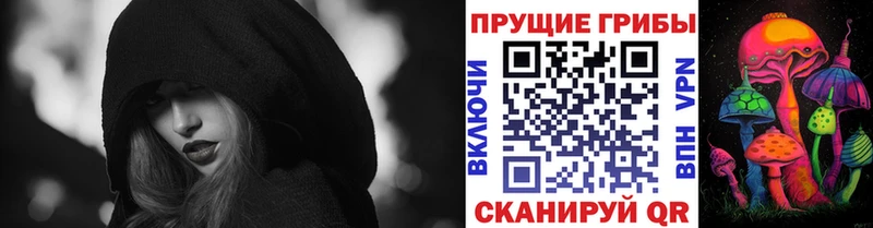 Псилоцибиновые грибы MAGIC MUSHROOMS  Купить где  Ростов 